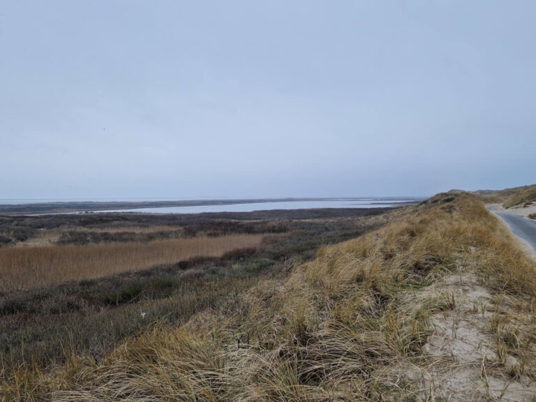Lagunesøerne ved Thyborøn