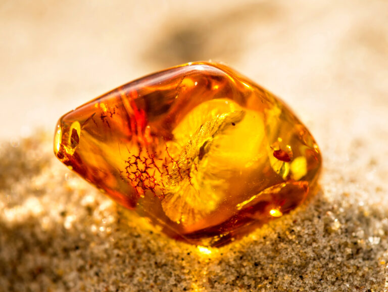 Tag på ravjagt på stranden og find Nordens guld